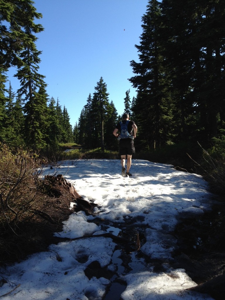 Hollyburn conditions